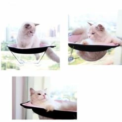 Perle Rare Chat Hamac Capsule Spatiale Litière Pour Chat Jouet Pour Chat Ventouse Chat Hamac Rose -Promos Litière et bac à litière Magasin 29868361 4