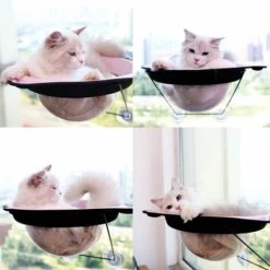 Perle Rare Litière Pour Chat Ventouse Chat Hamac Chat Se Prélasser Au Soleil Rebord De Fenêtre Capsule Spatiale Jouet Pour Chat Fournitures Pour Animaux De Compagnie Gris -Promos Litière et bac à litière Magasin 29871932 5