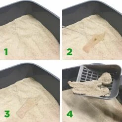 AFD Litiere Pour Chat Fibre Vegetale Almo Nature -Promos Litière et bac à litière Magasin 30440057 3