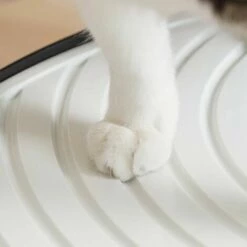 Iris Ohyama, Bac à Litière Fermé Avec Entrée Par Le Haut Et Couvercle à Trous Absence De Dispersion De Litière Et D'odeur, Pelle Incluse Pour Chat - Cat Litter Box Jump-in PUNT-530, Gris 8 Iris Ohyama, Bac à Litière Fermé Avec Entrée Par Le Haut Et Couvercle à Trous Absence De Dispersion De Litière Et D'odeur, Pelle Incluse Pour Chat - Cat Litter Box Jump-in PUNT-530, Gris -Promos Litière et bac à litière Magasin 32569517 3