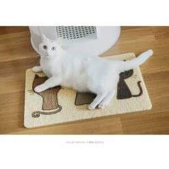 AIDUCHO Tapis De Litière Pour Chats, Tapis En PVC, Imperméable Et Antidérapant, Idéal Comme Tapis à Gamelles Pour Chats, Chiens, Chiots(60 X40cm) -Promos Litière et bac à litière Magasin 36883853 4