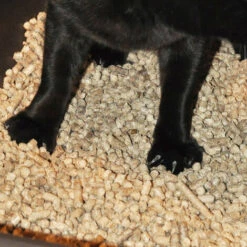 MISCANTHUS GREEN CARE Litière Pour Chat - 6 Litres [Lot X6] -Promos Litière et bac à litière Magasin 39765753 5