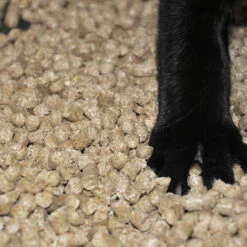 MISCANTHUS GREEN CARE Litière Pour Chat - Végétale Et Absorbante - 6 Litres [Lot X6] -Promos Litière et bac à litière Magasin 39765769 4