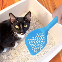 LONGZIMING Pelle à Litière Fresh Step Tout-en-un, Rapide Et Facile à Utiliser, Pelle à Litière Pour Chat, Poignée Ergonomique Pelle à Litière Pour Chat Pour Ramasser La Litière Pour Chat, Bleu -Promos Litière et bac à litière Magasin 41656963 3