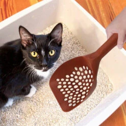 LONGZIMING Pelle à Litière Fresh Step Tout-en-un, Rapide Et Facile à Utiliser, Pelle à Litière Pour Chat, Poignée Ergonomique Pelle à Litière Pour Chat Pour Ramasser La Litière Pour Chat, Marron -Promos Litière et bac à litière Magasin 41656979 3