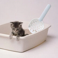 LONGZIMING Pelle à Litière, Poop Poop, Pelle à Litière Pour Chat, Pelle En Plastique, Blanc + Gris 9 LONGZIMING Pelle à Litière, Poop Poop, Pelle à Litière Pour Chat, Pelle En Plastique, Blanc + Gris -Promos Litière et bac à litière Magasin 41656997 3