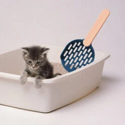 LONGZIMING Pelle à Litière, Poop Poop, Pelle à Litière Pour Chat, Pelle En Plastique, Indigo + Poudre -Promos Litière et bac à litière Magasin 41657014 3
