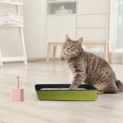 LONGZIMING Pelle à Litière Pour Chat Avec Support Tamis Pour Animaux De Compagnie Nettoyage Des Ordures Pelle Profonde Pour Un Ramassage Facile Tamisage Rapide, Rose -Promos Litière et bac à litière Magasin 41657172 4