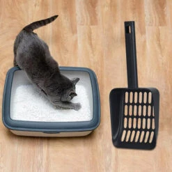 LONGZIMING Pelle à Litière Pour Chat Avec Support Tamis Pour Animaux De Compagnie Nettoyage Des Ordures Pelle Profonde Pour Un Ramassage Facile Tamisage Rapide, Gris -Promos Litière et bac à litière Magasin 41657201 3