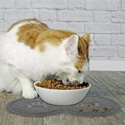 Tapis D'alimentation En Silicone Pour Animaux, Tapis Pour Gamelles De Chien Tapis D'alimentation PVC Antidérapant Imperméable Pour Animaux De Compagnie Pour Chat Et Chien -Fontainebleau -Promos Litière et bac à litière Magasin 48832015 5