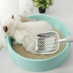 ZHUOXUAN Cuillère à Litière Pour Chat, Cuillère à Litière Antiadhésive, Acier Inoxydable, Grande，1pcs -Promos Litière et bac à litière Magasin 51459310 3