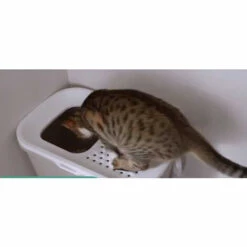 Maison De Toilette HOP In. Entrée Par Dessus 58 X 39 X 40 Cm. Bleu . Pour Chat - Savic - Bleu -Promos Litière et bac à litière Magasin 51744138 4