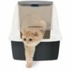 CAT'IT Catiit Aernero Magic Blue Jumbo