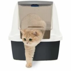 CAT'IT Catiit Aernero Magic Blue Jumbo