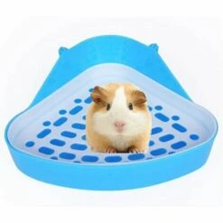 GDRHVFD Bac À Litière D'Angle Pour Petit Animal Domestique - Pour Hamster, Cochon D'Inde, Furet, Gerbille, Chinchilla - Pour Petits Rats -Bleu