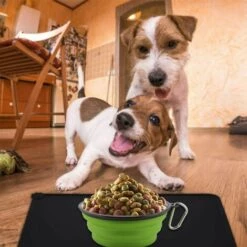 EINEMGELD Tapis Gamelle Chien, Tapis D’Alimentation Pour Chat En Silicone Aux Normes FDA, Imperméable Et Antidérapant, Noir, 47 X 30 Cm 7 EINEMGELD Tapis Gamelle Chien, Tapis D’Alimentation Pour Chat En Silicone Aux Normes FDA, Imperméable Et Antidérapant, Noir, 47 X 30 Cm -Promos Litière et bac à litière Magasin 59144976 2