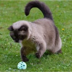 MEDIA WAVE STORE ® 80500 Bac à Litière Et Mangeoire Pour Chats 37x27x8,5H Cm Avec Seau Et écope | Couleur: Bleu -Promos Litière et bac à litière Magasin 59189524 4