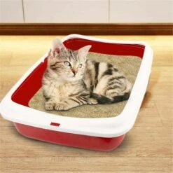 MEDIA WAVE STORE ® 10547 BIG Bac à Litière Pour Chat 49x39x12Hcm Bac à Litière Et Bord Relevé | Couleur: Rouge