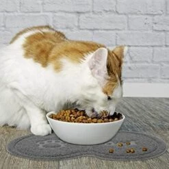 ROSIER Tapis D'alimentation En Silicone Pour Animaux, Tapis Pour Gamelles De Chien Tapis D'alimentation PVC Résistant Imperméable Pour Animaux De Compagnie Pour Chat Et Chien Gris, 46*26cm——VEBTles -Promos Litière et bac à litière Magasin 60186268 5