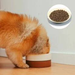 ROSIER 1 PCS Tapis Gamelle Chien Pour Chien Chat Tapis Portable En Silicone Set De Table En Silicone Pour Animal Domestique Animal De Compagnie Alimentaire éTanche Mat Aliment Chien Placemat，gris 24*0.35cm——VEBTles -Promos Litière et bac à litière Magasin 60186273 5