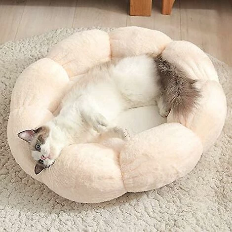 PREMIER Beignet De Lit De Chien De Chat En Forme De Fleur, Lit D'hiver Pour Animaux De Compagnie En Peluche Rond En Forme De Fleur Pour Chien Chat Coussin De Couchage Chaud 4 PREMIER Beignet De Lit De Chien De Chat En Forme De Fleur, Lit D'hiver Pour Animaux De Compagnie En Peluche Rond En Forme De Fleur Pour Chien Chat Coussin De Couchage Chaud – Image 2