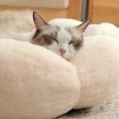 PREMIER Beignet De Lit De Chien De Chat En Forme De Fleur, Lit D'hiver Pour Animaux De Compagnie En Peluche Rond En Forme De Fleur Pour Chien Chat Coussin De Couchage Chaud 7 PREMIER Beignet De Lit De Chien De Chat En Forme De Fleur, Lit D'hiver Pour Animaux De Compagnie En Peluche Rond En Forme De Fleur Pour Chien Chat Coussin De Couchage Chaud -Promos Litière et bac à litière Magasin 60531668 3