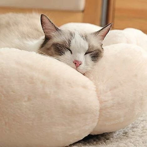 PREMIER Beignet De Lit De Chien De Chat En Forme De Fleur, Lit D'hiver Pour Animaux De Compagnie En Peluche Rond En Forme De Fleur Pour Chien Chat Coussin De Couchage Chaud 5 PREMIER Beignet De Lit De Chien De Chat En Forme De Fleur, Lit D'hiver Pour Animaux De Compagnie En Peluche Rond En Forme De Fleur Pour Chien Chat Coussin De Couchage Chaud – Image 3