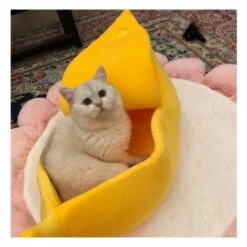 Fei Yu Fournitures Pour Animaux De Compagnie Litière Pour Chat Chenil Sac De Couchage Pour Chat Trou De Lit Bateau Banane Vert -Promos Litière et bac à litière Magasin 64997834 4