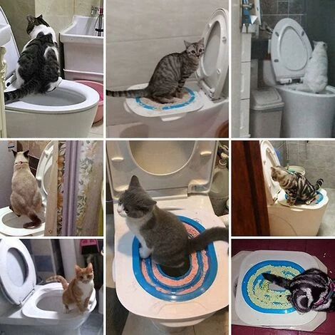 BDD Tapis D'entraînement à La Toilette Pour Chat Tapis D'entraînement à La Toilette Pour Chat Peut Mettre Le Bac à Sable Pour Chat (bleu) 7 BDD Tapis D'entraînement à La Toilette Pour Chat Tapis D'entraînement à La Toilette Pour Chat Peut Mettre Le Bac à Sable Pour Chat (bleu) – Image 5