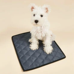 YOOUYIDA Extra GRAND CHIEN COOL MAT COOLING CHAT PET NON TOIM Soulagement De Chaleur Auto-M (gris, M) -Promos Litière et bac à litière Magasin 65811504 3