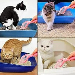 EINEMGELD 3 Pièces Pelle à Litière Pour Chat Animal Domestique Bac à Litière Pour Chat Pelle Pelle De Chien Récupérateur De Déjections S Animal Propre Les Fournitures De Nettoyage (petit Trou) 11 EINEMGELD 3 Pièces Pelle à Litière Pour Chat Animal Domestique Bac à Litière Pour Chat Pelle Pelle De Chien Récupérateur De Déjections S Animal Propre Les Fournitures De Nettoyage (petit Trou) -Promos Litière et bac à litière Magasin 65896638 5