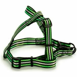 BRICOMARTEAU Harnais New Comers Rayures (3 X 27 X 16 Cm)