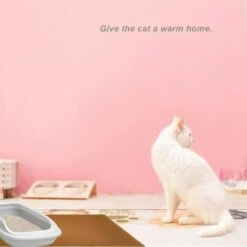 FVO Tapis Litière Chat Bac à Litière Pour Chats, Imperméable Non Toxique EVA,Double Couche En Nid D'abeille Design (76x61cm, Marron) -Promos Litière et bac à litière Magasin 66024409 4