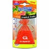 DR MARCUS Désodorisant Fresh Bag Fruits Tropicaux
