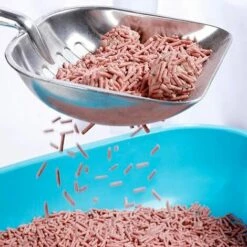 OCXIN Pelle à Litière Pour Chat, Pelle à Litière Pour Chat En Alliage D'aluminium, Pelle à Litière, Pelle à Litière, Pelle à Chat Avec Long Manche En Caoutchouc Confortable Pour Chatons 11 OCXIN Pelle à Litière Pour Chat, Pelle à Litière Pour Chat En Alliage D'aluminium, Pelle à Litière, Pelle à Litière, Pelle à Chat Avec Long Manche En Caoutchouc Confortable Pour Chatons -Promos Litière et bac à litière Magasin 66858770 5