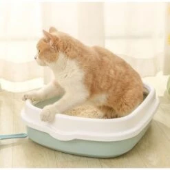 WIAN Boîte à Litière Pour Chat épaissie Semi-fermée En Plastique Anti-éclaboussures Chat Toilette Litière Pour Chat, Vert, Moyen 39*32*11cm -Promos Litière et bac à litière Magasin 67416099 2